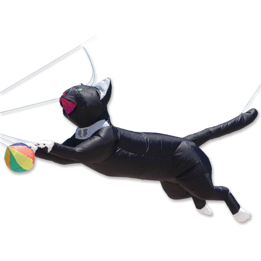 Ram Air Cat Line Device for Kites in black, measuring 10.5 ft., soaring elegantly in the sky as part of a colorful kite display.