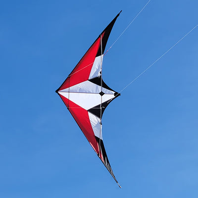 Raptor Sport Kite 80x29 inches with a carbon frame and ripstop polyester fabric soaring against a blue sky.