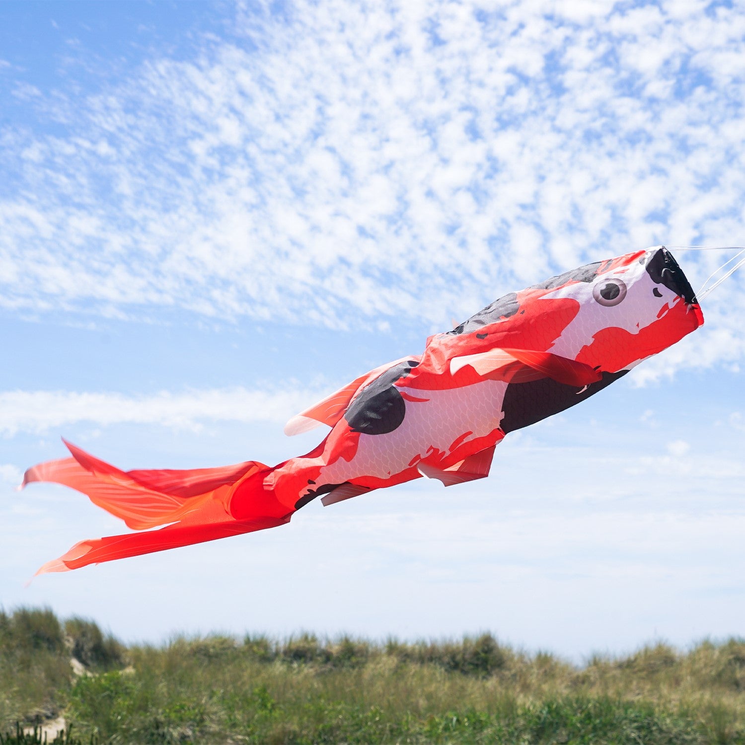 Realistic Koi 48" Fish Windsock with vibrant colors and flowing tails, displayed in an outdoor setting gently swaying in the breeze.