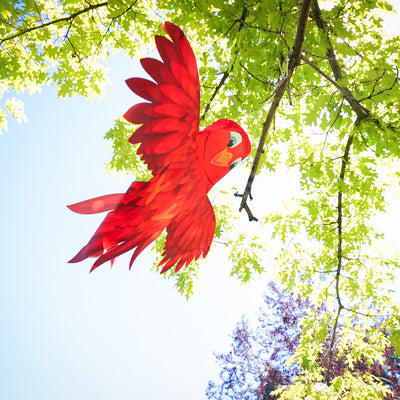 Red Bird Windsock in vivid colors, featuring permanently spread wings and an easy hanging system, enhances outdoor spaces with charm and joy.