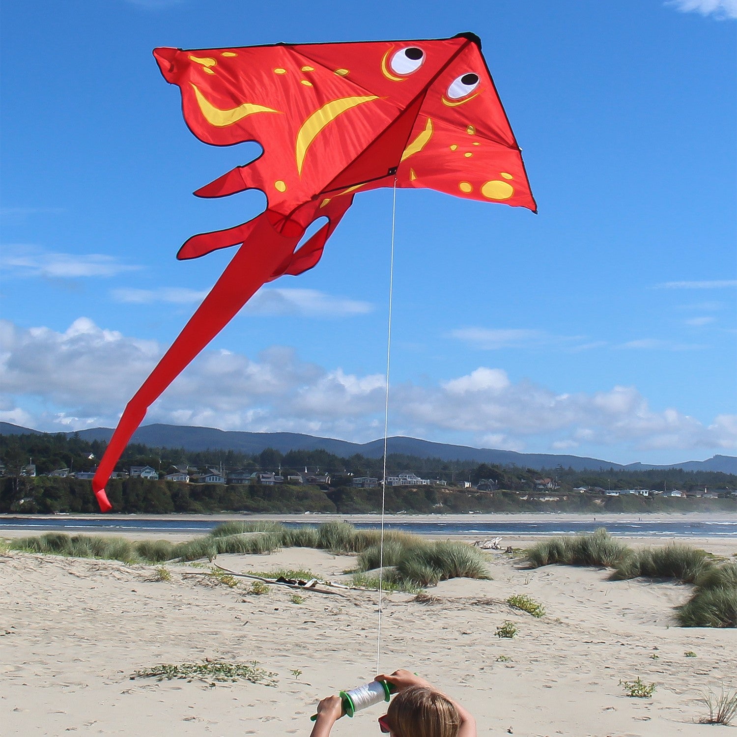 Red Stingray Kite soaring high against a bright blue sky, showcasing its vibrant colors and detailed applique design while flying peacefully.