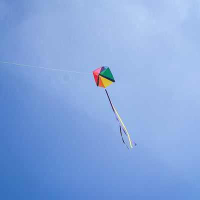 Revel Single Box Kite soaring high in a clear blue sky, featuring vibrant rainbow colors and 12-foot tails, designed for easy flying.
