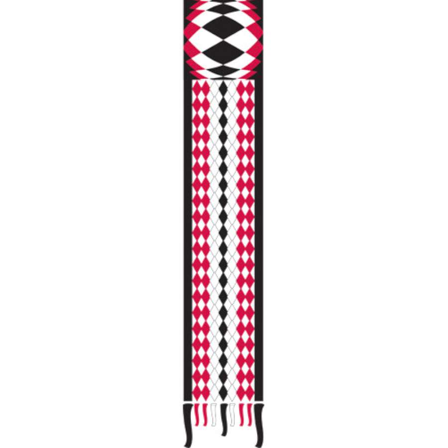 Rieleit Foil 20 Kite displayed in the sky with a colorful tail, showcasing its vibrant design measuring 130 x 65 inches for outdoor flying.