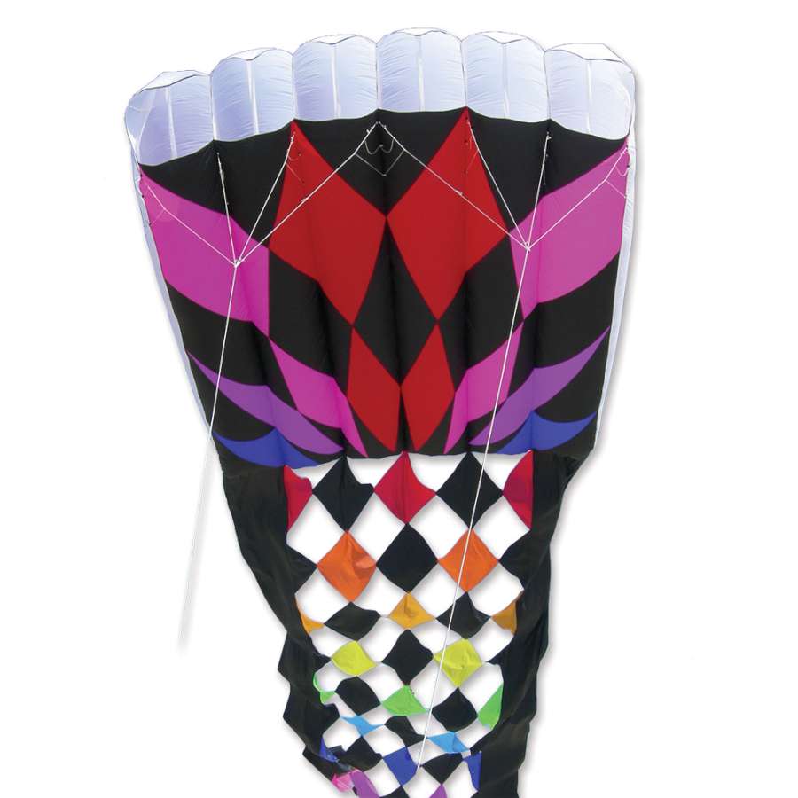 Rieleit Foil 20 Kite featuring rainbow colors and a 60-foot tail, soaring high against a blue sky during a picnic or festival.