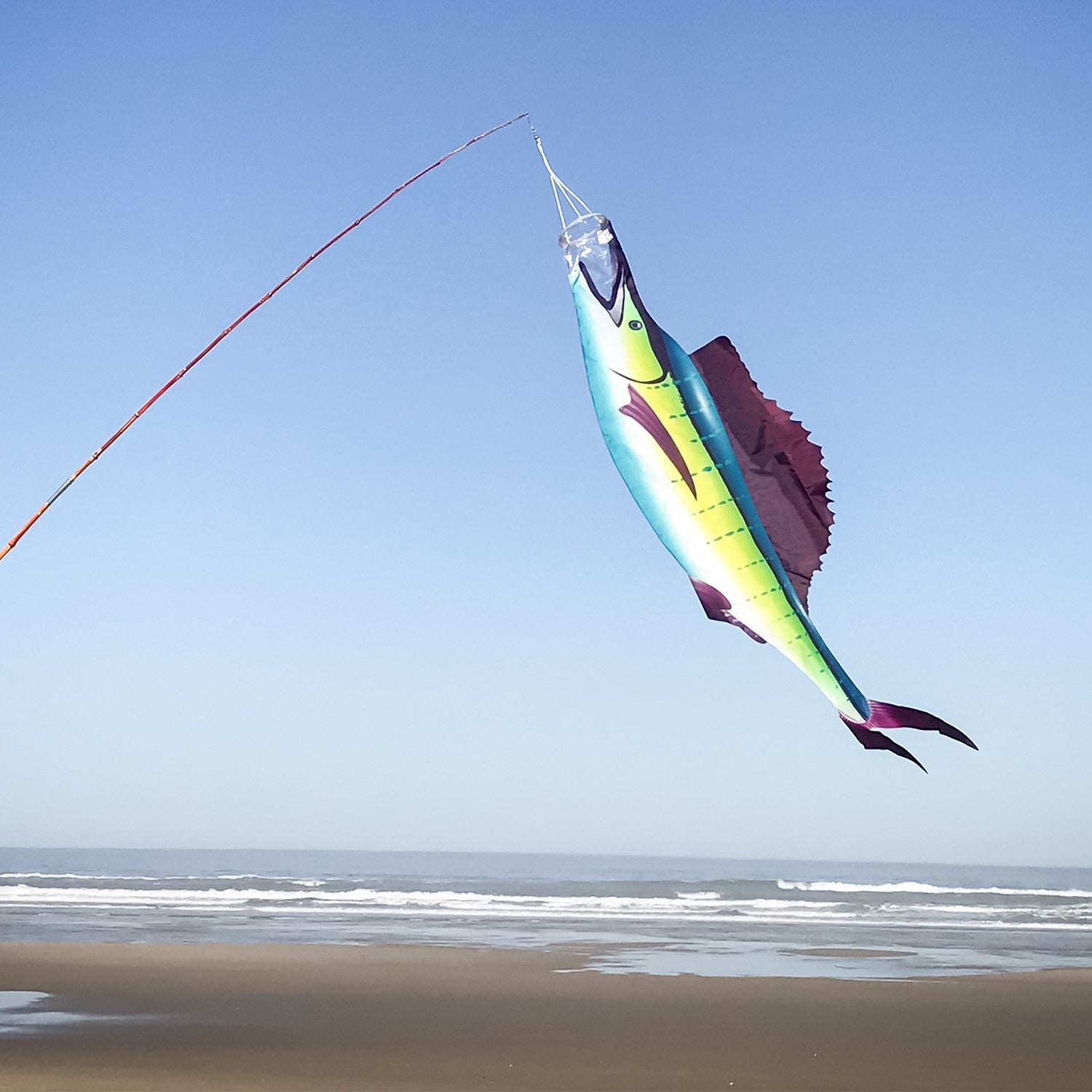 Sailfish 50 inch Fish Windsock hanging from a dock, showcasing vibrant colors and realistic design of sailfish in motion.