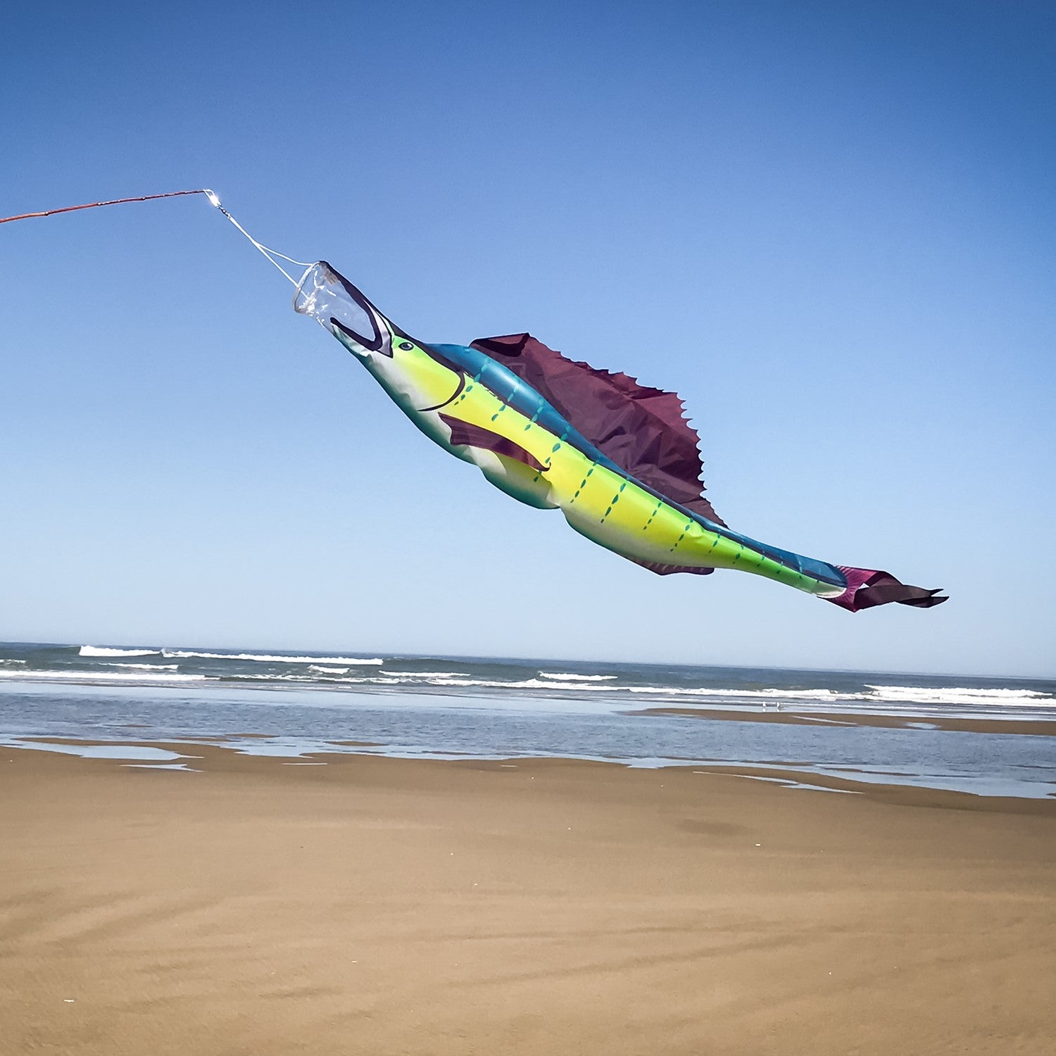 Sailfish 50 inch Fish Windsock hanging from a dock, showcasing vibrant colors and realistic design of sailfish in motion.