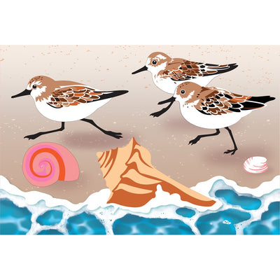 Vibrant 40-inch Sand Piper Birds windsock displayed outdoors, featuring whimsical bird designs fluttering in the breeze against a clear sky.