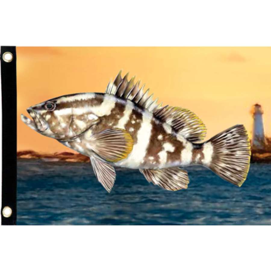 Seafarer Flag with a colorful grouper design hanging outdoors, ideal for summer decor and marine-themed settings.