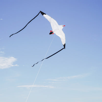 Seagull Kite with detailed design and black streamer tails soaring against a blue sky during outdoor activity, perfect for family fun.