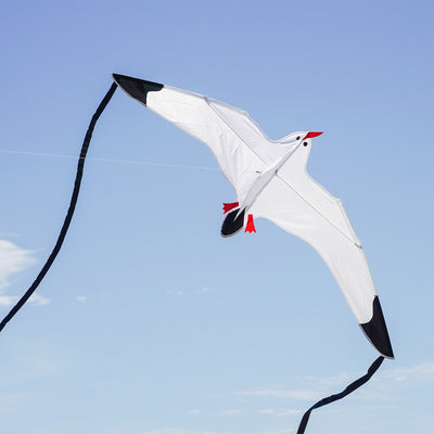 Seagull Kite with detailed design and black streamer tails soaring against a blue sky during outdoor activity, perfect for family fun.