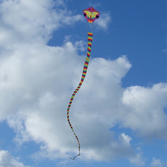 Vibrant Serpent Kite soaring high with a 38-foot rainbow tail against a clear blue sky during an outdoor event.