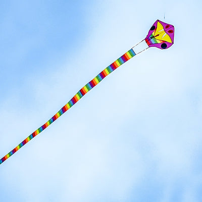 Vibrant Serpent Kite soaring high with a 38-foot rainbow tail against a clear blue sky during an outdoor event.