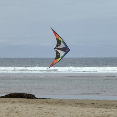 Skunk 48\" Sport Kite in vibrant rainbow design soaring against a blue sky during a sunny day, showcasing its durable construction and two-line design.