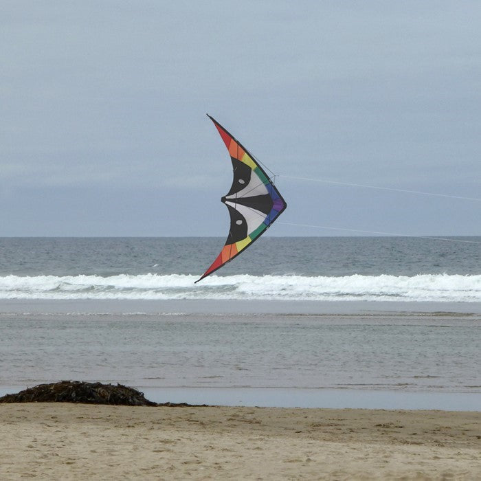 Skunk 48\" Sport Kite in vibrant rainbow design soaring against a blue sky during a sunny day, showcasing its durable construction and two-line design.