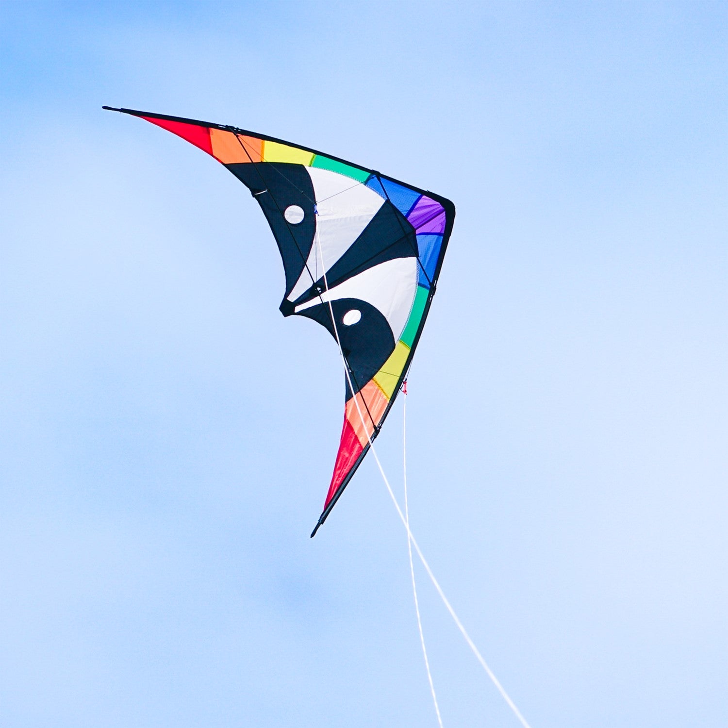 Skunk 48\" Sport Kite in vibrant rainbow design soaring against a blue sky during a sunny day, showcasing its durable construction and two-line design.