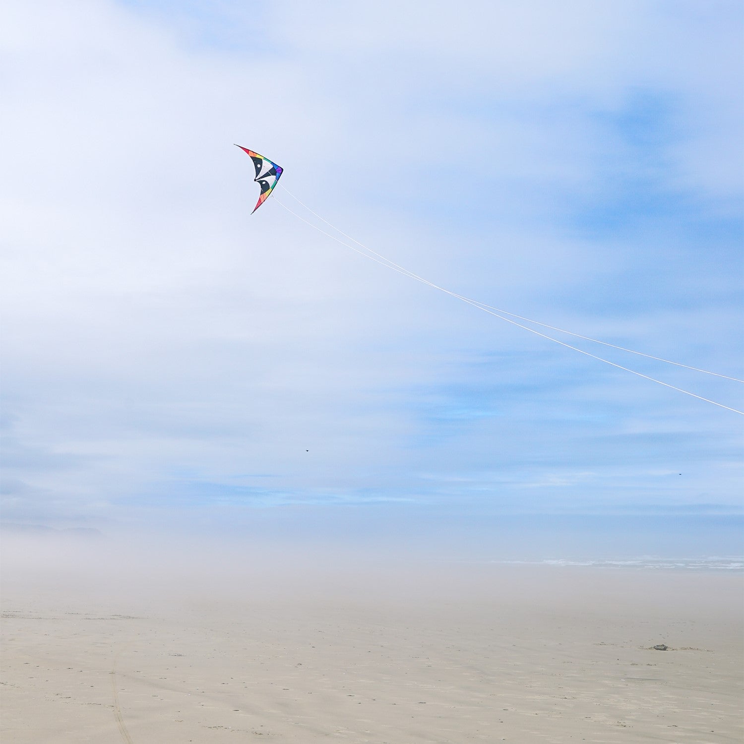 Skunk 48\" Sport Kite in vibrant rainbow design soaring against a blue sky during a sunny day, showcasing its durable construction and two-line design.