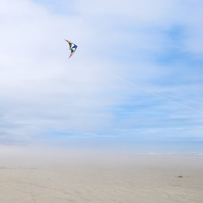 Skunk 48\" Sport Kite in vibrant rainbow design soaring against a blue sky during a sunny day, showcasing its durable construction and two-line design.