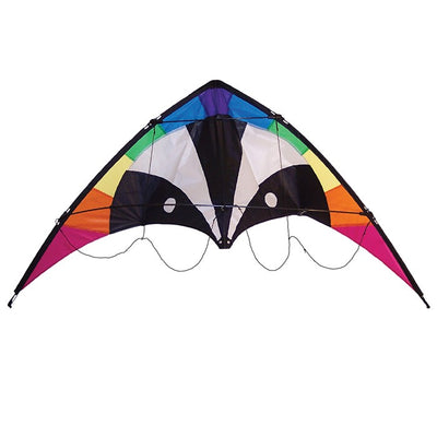 Skunk 48\" Sport Kite in vibrant rainbow design soaring against a blue sky during a sunny day, showcasing its durable construction and two-line design.
