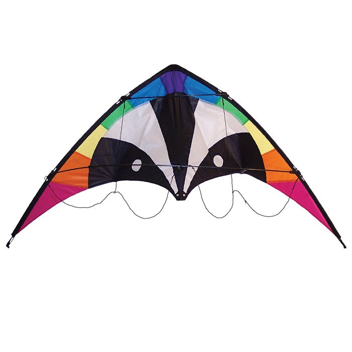 Skunk 48\" Sport Kite in vibrant rainbow design soaring against a blue sky during a sunny day, showcasing its durable construction and two-line design.