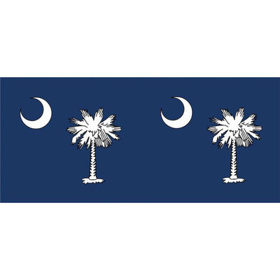 Vivid South Carolina windsock with palmetto tree and crescent moon design hanging from a pole, fluttering in the outdoor breeze.