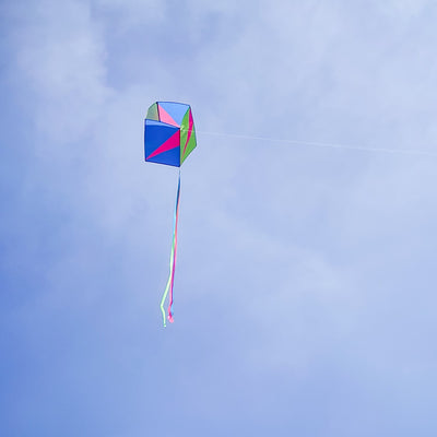 Strike Single Box Kite soaring in a clear blue sky, showcasing vibrant colors and coordinating tails during a sunny outdoor day.