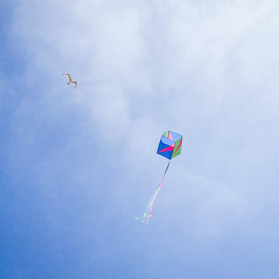 Strike Single Box Kite soaring in a clear blue sky, showcasing vibrant colors and coordinating tails during a sunny outdoor day.