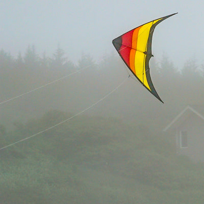 The Sunset 55" Sport Kite showcasing a bold, colorful design in flight against a clear blue sky is perfect for outdoor activities and easily recognizable.