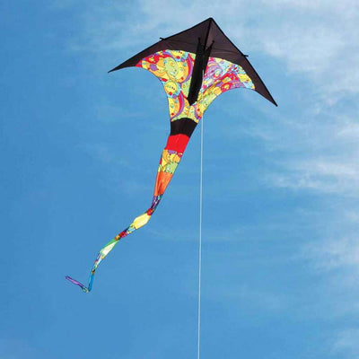 T-Delta Kite - Rainbow Orbit displayed soaring high in a blue sky, showcasing its vibrant colors and delta shape at the park.