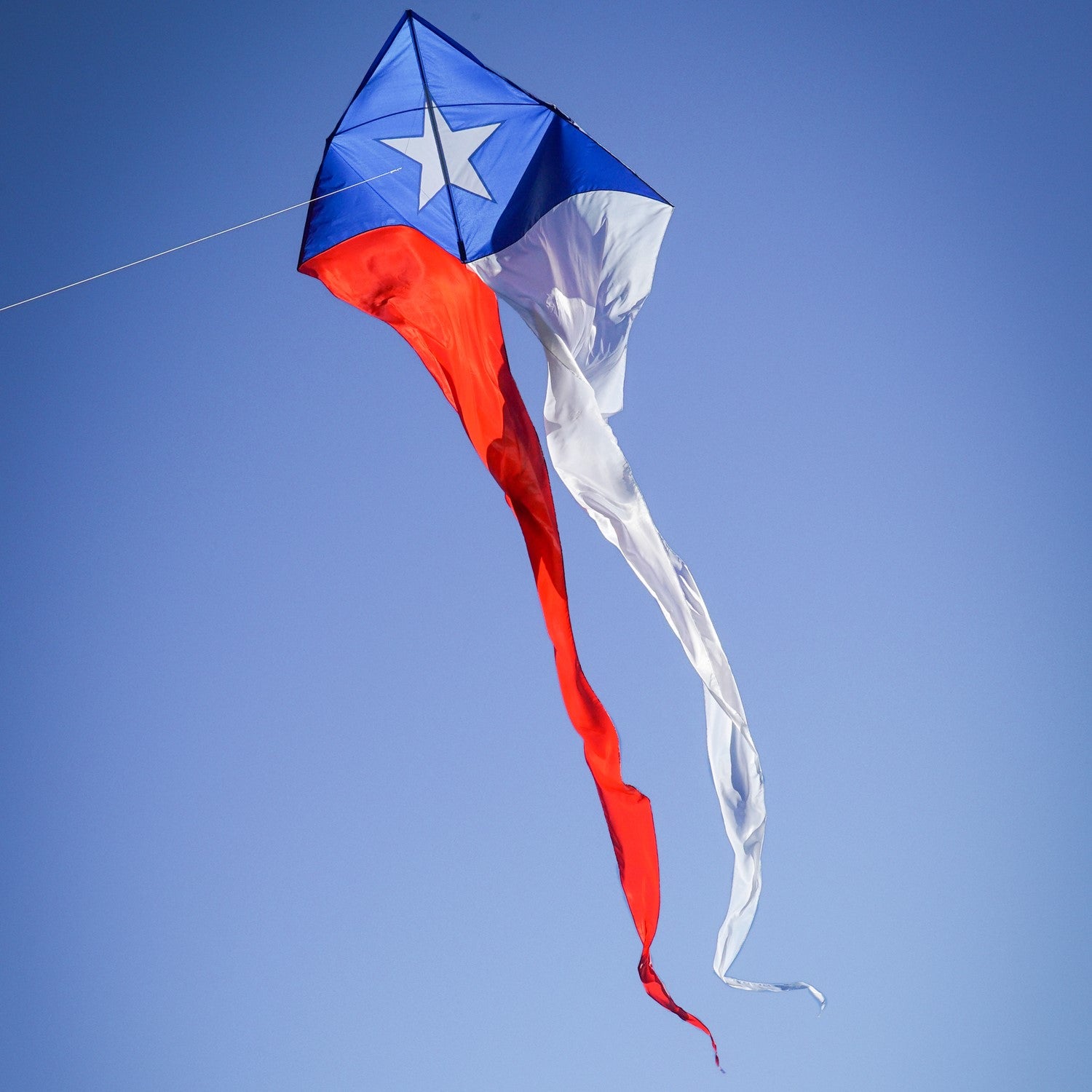 Texas 77-inch Wave Delta Kite featuring an applique star and flowing tails soaring against a blue sky on a breezy day.