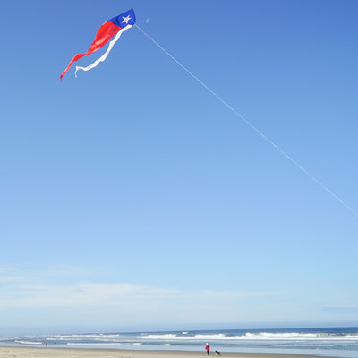 Texas 77-inch Wave Delta Kite featuring an applique star and flowing tails soaring against a blue sky on a breezy day.