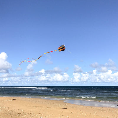 Tie Dye Pouch Parafoil Kite soaring in the blue sky, featuring a colorful design and three coordinating kite tails.