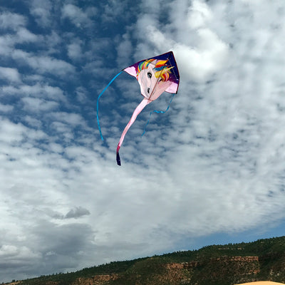The Unicorn 45" Fly-Hi Kite features a colorful, fantasy-themed design that captivates as it soars, perfect for outdoor flying adventures with family.