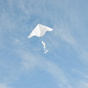 White Delta with White Twister Tail kite flying high in a clear blue sky, showcasing its sleek design and playful tail.