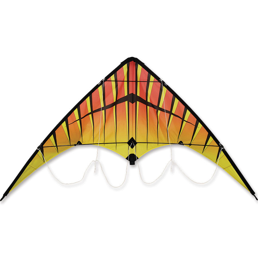 Zoomer 2.0 sport kite in vibrant colors soaring through the sky during a sunny day, measuring 46 x 21 inches.